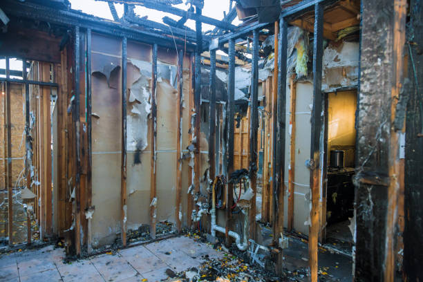 Professional Fire Damage Repair technician working in Stone Park, IL
